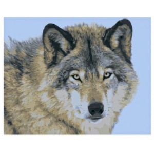 Картина по номерам "Взгляд волка"