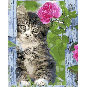 Картина по номерам "Милый котенок"