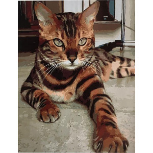 Картина по номерам "Бенгальский кот"