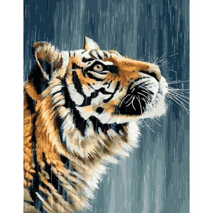 Картина по номерам "Тигр под дождем"