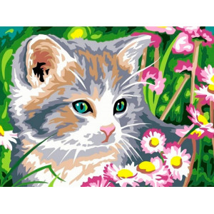 Картина по номерам "Котенок"