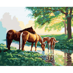 Картина по номерам "Лошади у ручья"