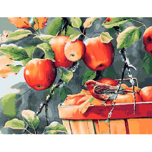 Картина по номерам "Яблоки в саду"