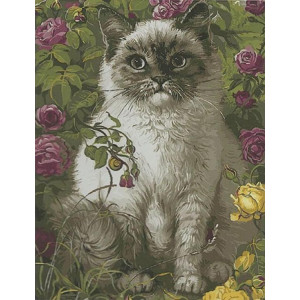 Картина по номерам "Кот в моем саду"