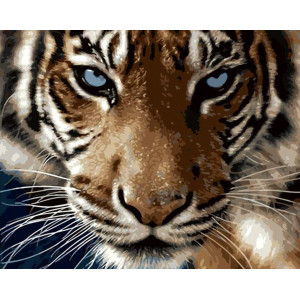 Картина по номерам "Взгляд тигра"