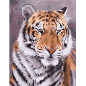 Картина по номерам "Взгляд тигра"