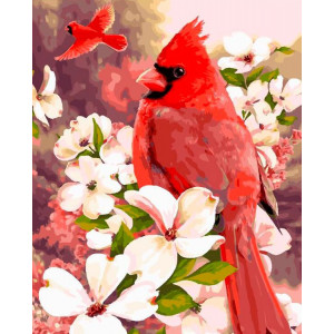 Картина по номерам "Червоний кардинал"