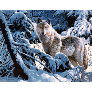 Картина по номерам "Белый волк"