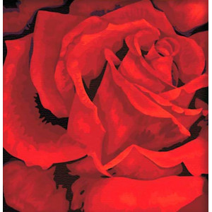 Картина по номерам "Красная роза"