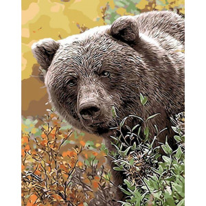 Картина по номерам "Медведь"