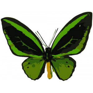 Картина по номерам "Тропическая бабочка"