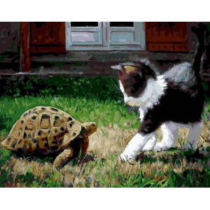 Картина по номерам "Котенок и черепаха"