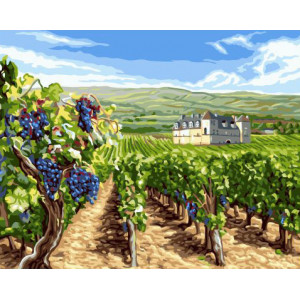 Картина по номерам "Виноградные поля"