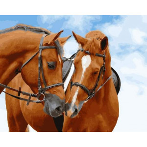 Картина по номерам "Пара лошадей"