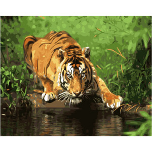 Картина по номерам "Тигр біля водопою"