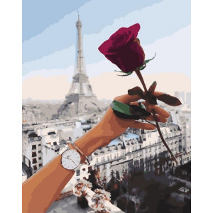 Картина по номерам "Роза Парижа"