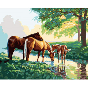Картина по номерам "Лошади на водопое"