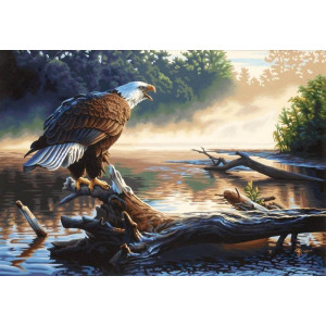 Картина по номерам "Орел-охотник"