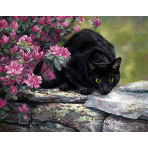 Картина по номерам "Черная кошка"