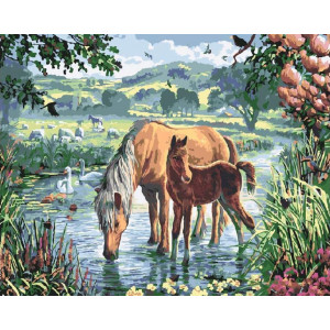 Картина по номерам "Лошади у ручья"