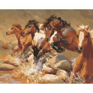 Картина по номерам "Дикие лошади"