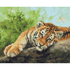 Картина по номерам "Отдыхающий тигр"