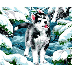 Картина по номерам "Хаски в снежном лесу"