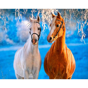 Картина по номерам "Лошади зимой"