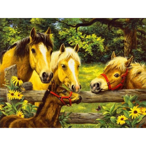 Картина по номерам "Лошади и пони"