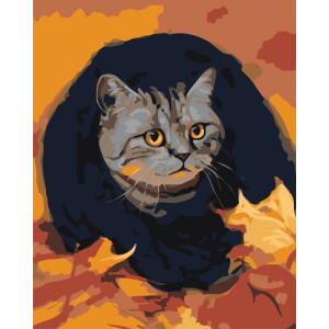 Картина по номерам "Осінній кіт"