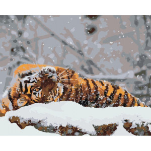 Картина по номерам "Тигр на снегу"