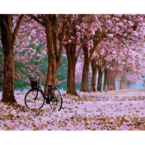 Картина по номерам "Велосипед в парке"