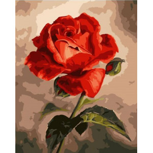 Картина по номерам "Одинокая роза"