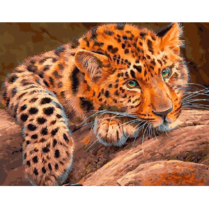 Картина по номерам "Африканский леопард"