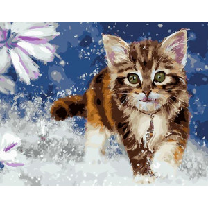Картина по номерам "Чарівне кошеня"
