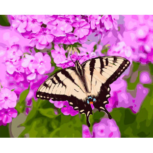 Картина по номерам "Бабочка на цветке"