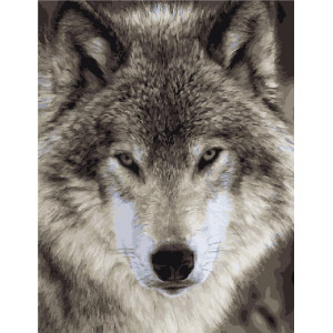 Картина по номерам "Одинокий волк"