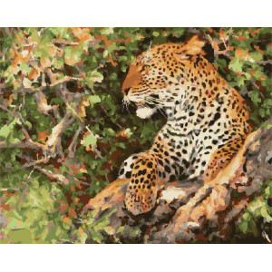 Картина по номерам "Отдых леопарда"