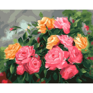 Картина по номерам "Куст из розовых роз"