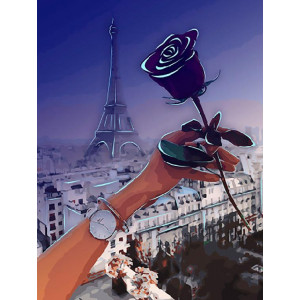 Картина по номерам "Роза Парижа"