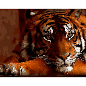 Картина по номерам "Красавец тигр"