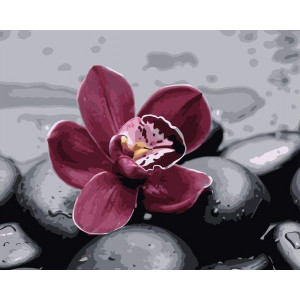 Картина по номерам "Бардовый цветок"
