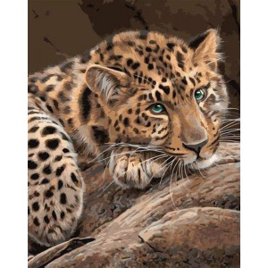 Картина по номерам "Взгляд леопарда"