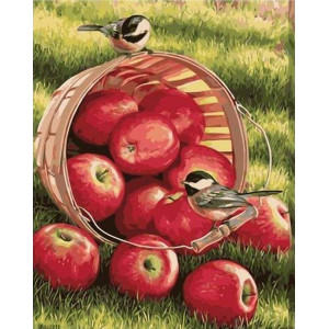 Картина по номерам "Ведро яблок"