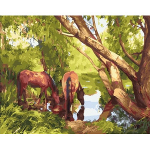Картина по номерам "Лошади у водопоя"