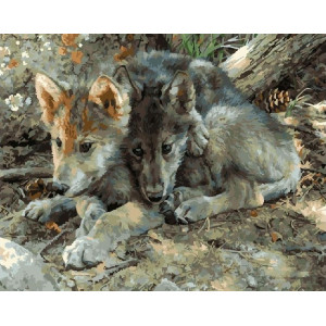 Картина по номерам "Волчата"