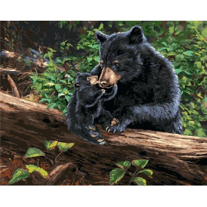 Картина по номерам "Медведица с медвежонком"