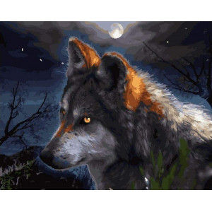 Картина по номерам "Ночной волк"