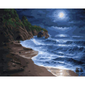 Картина по номерам "Ночные волны"