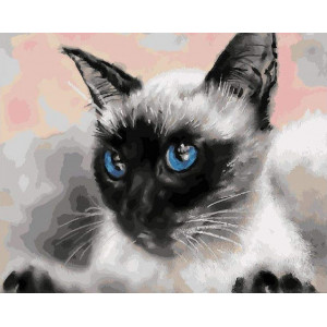 Картина по номерам "Сиамский кот"